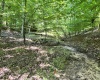 Abbeville County, 0 , 0 ,0,Land,Active,0,1212