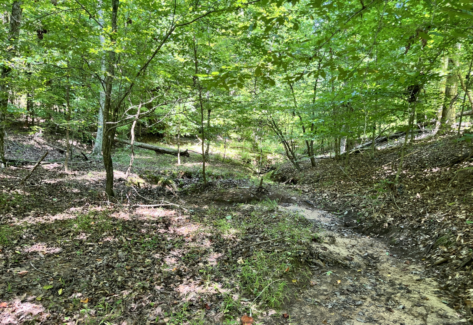 Abbeville County, 0 , 0 ,0,Land,Active,0,1212