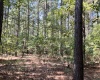 Abbeville County, 0 , 0 ,0,Land,Active,0,1213