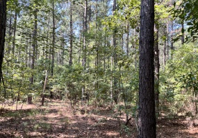 Abbeville County, 0 , 0 ,0,Land,Active,0,1213 Abbeville County, 0 , 0 ,0,Land,Active,0,1213