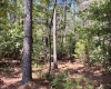 Abbeville County, 0 , 0 ,0,Land,Active,0,1213