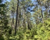 Abbeville County, 0 , 0 ,0,Land,Active,0,1213