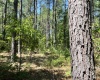 Abbeville County, 0 , 0 ,0,Land,Active,0,1213