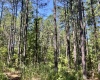 Abbeville County, 0 , 0 ,0,Land,Active,0,1213