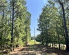 Abbeville County, 0 , 0 ,0,Land,Active,0,1213