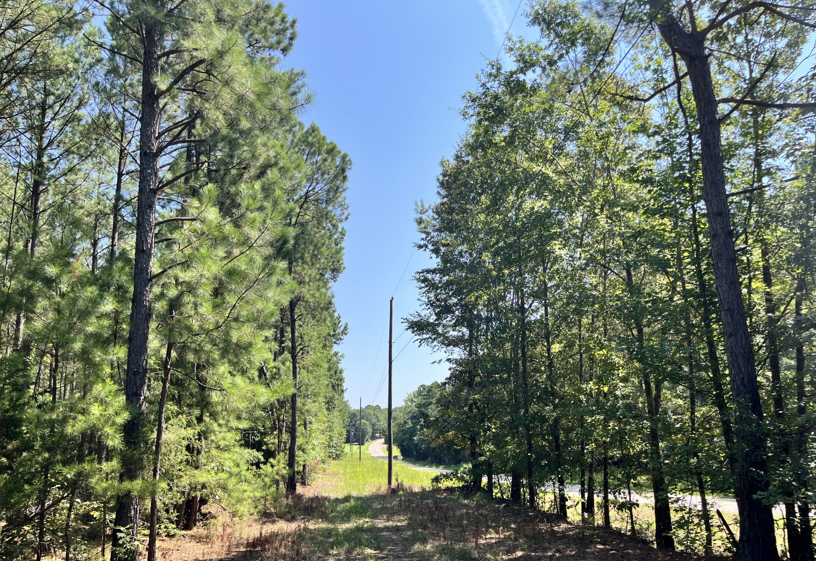 Abbeville County, 0 , 0 ,0,Land,Active,0,1213