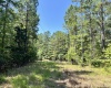 Abbeville County, 0 , 0 ,0,Land,Active,0,1213
