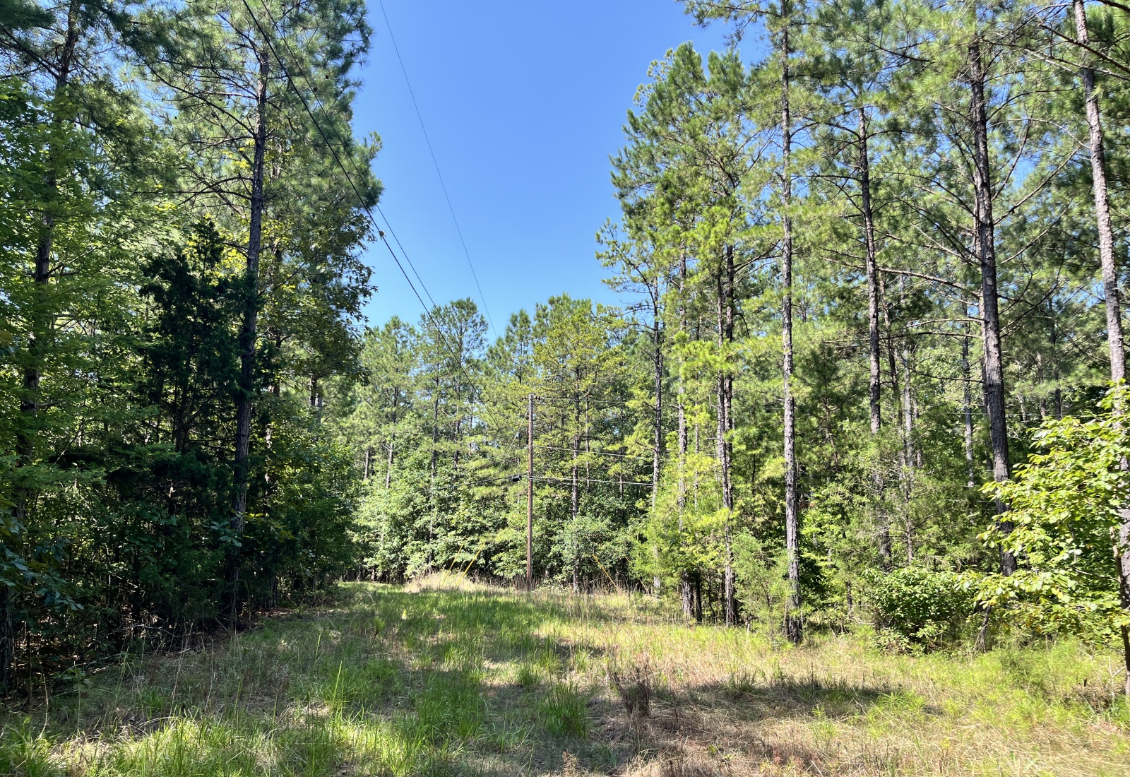 Abbeville County, 0 , 0 ,0,Land,Active,0,1213
