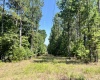 Abbeville County, 0 , 0 ,0,Land,Active,0,1213