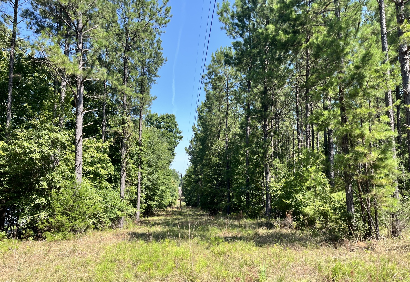 Abbeville County, 0 , 0 ,0,Land,Active,0,1213