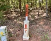 Abbeville County, 0 , 0 ,0,Land,Active,0,1213