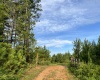 Abbeville, 0 , 0 ,0,Land,Active,0,1215