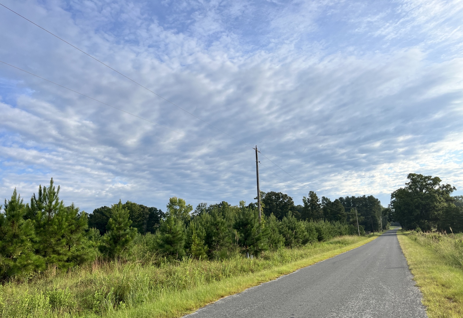 Abbeville, 0 , 0 ,0,Land,Active,0,1215