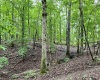 Abbeville, 0 , 0 ,0,Land,Active,0,1215