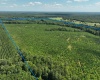 Abbeville, 0 , 0 ,0,Land,Active,0,1215