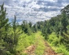 Abbeville, 0 , 0 ,0,Land,Active,0,1215