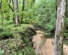 Abbeville, 0 , 0 ,0,Land,Active,0,1215