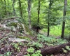 Abbeville, 0 , 0 ,0,Land,Active,0,1215