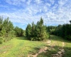 Abbeville, 0 , 0 ,0,Land,Active,0,1215