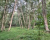 Abbeville, 0 , 0 ,0,Land,Active,0,1215