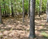 Edgefield County, 0 , 0 ,0,Land,Active,0,1220 Edgefield County, 0 , 0 ,0,Land,Active,0,1220