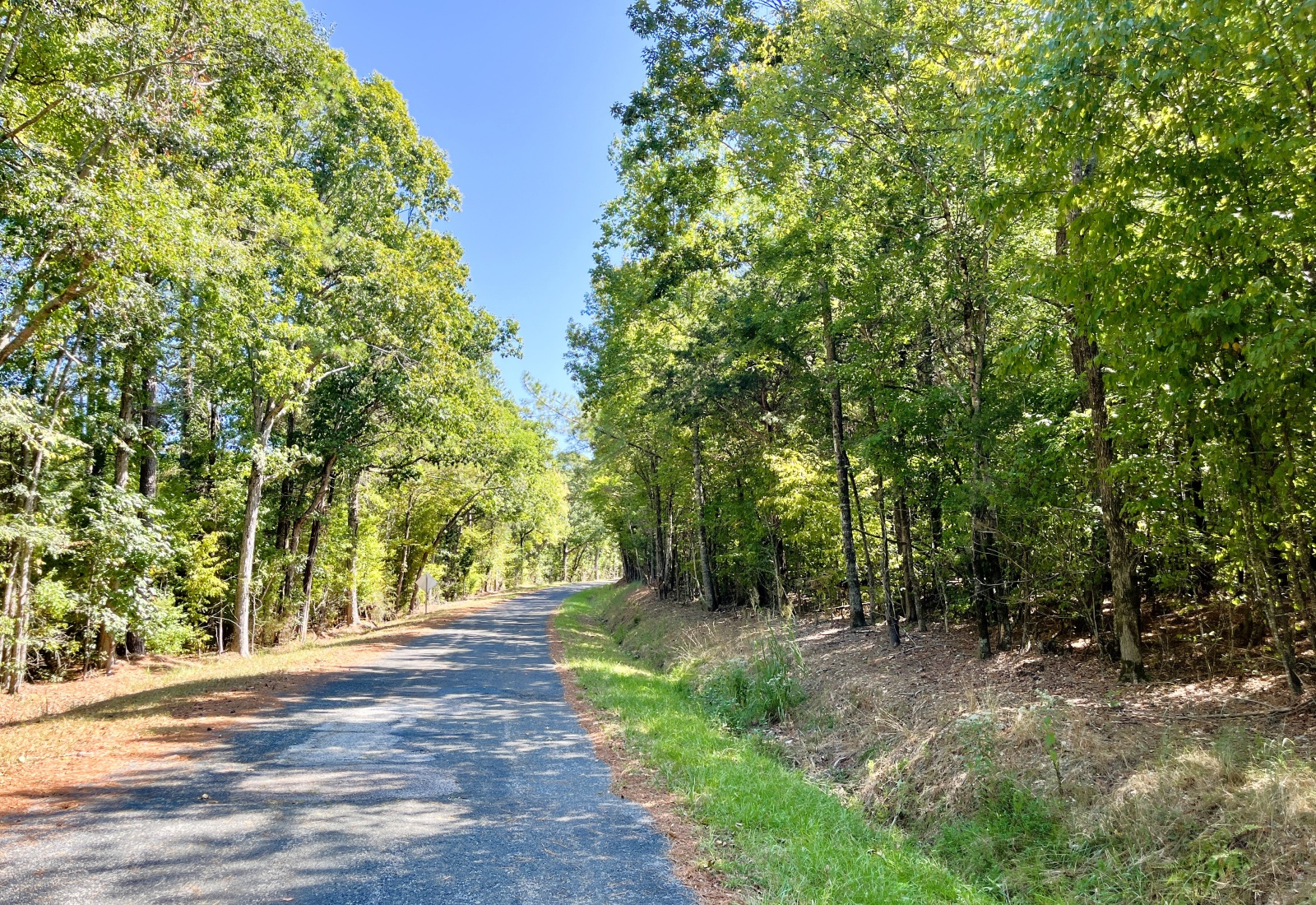 Edgefield County, 0 , 0 ,0,Land,Active,0,1220 Edgefield County, 0 , 0 ,0,Land,Active,0,1220
