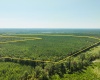 Edgefield County, 0 , 0 ,0,Land,Active,0,1220 Edgefield County, 0 , 0 ,0,Land,Active,0,1220