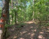 Lincoln County, ,Land,Sold,1076