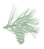 Thompson Forest Consultants, Inc.